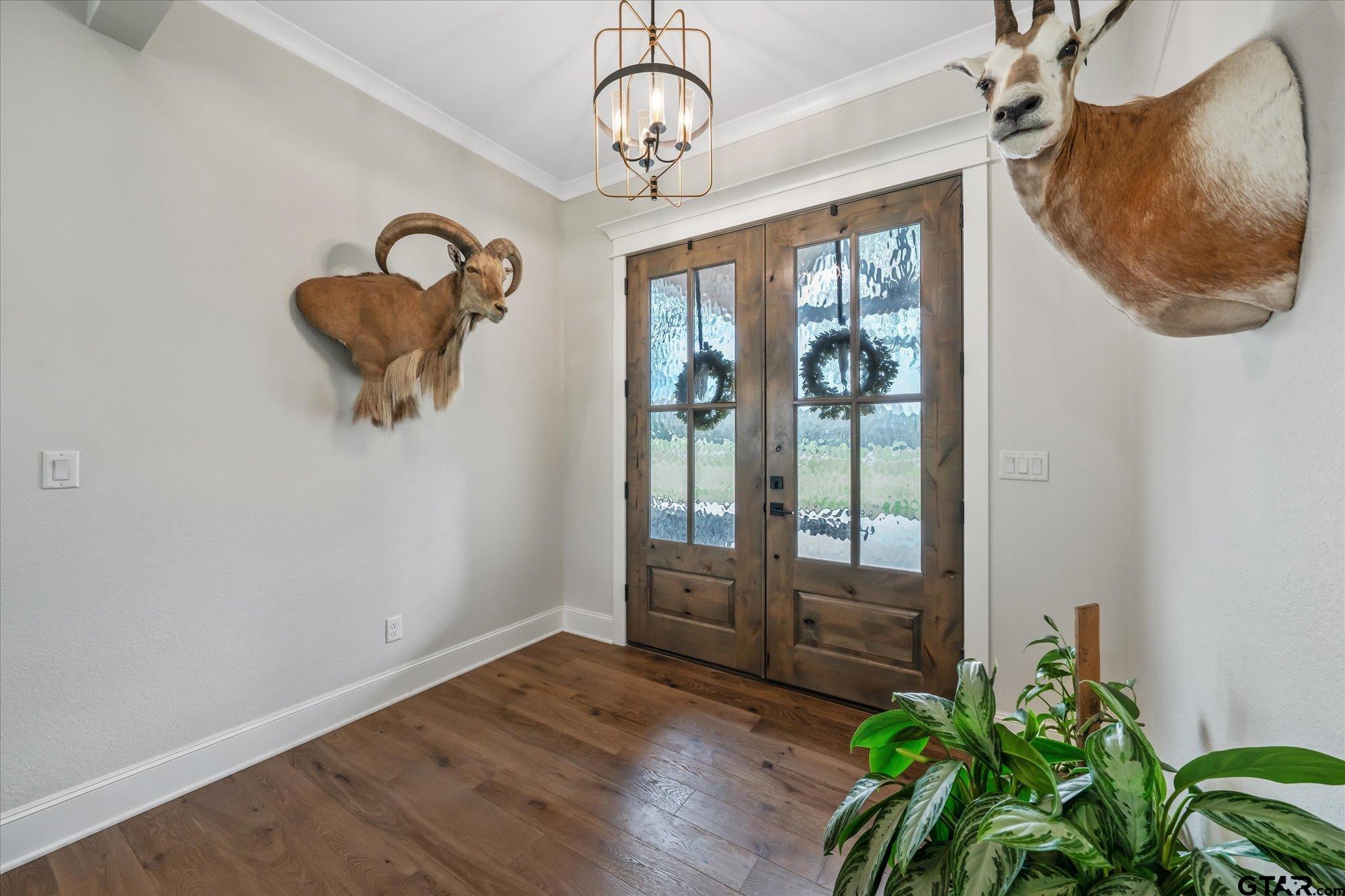 437 County Road 4914