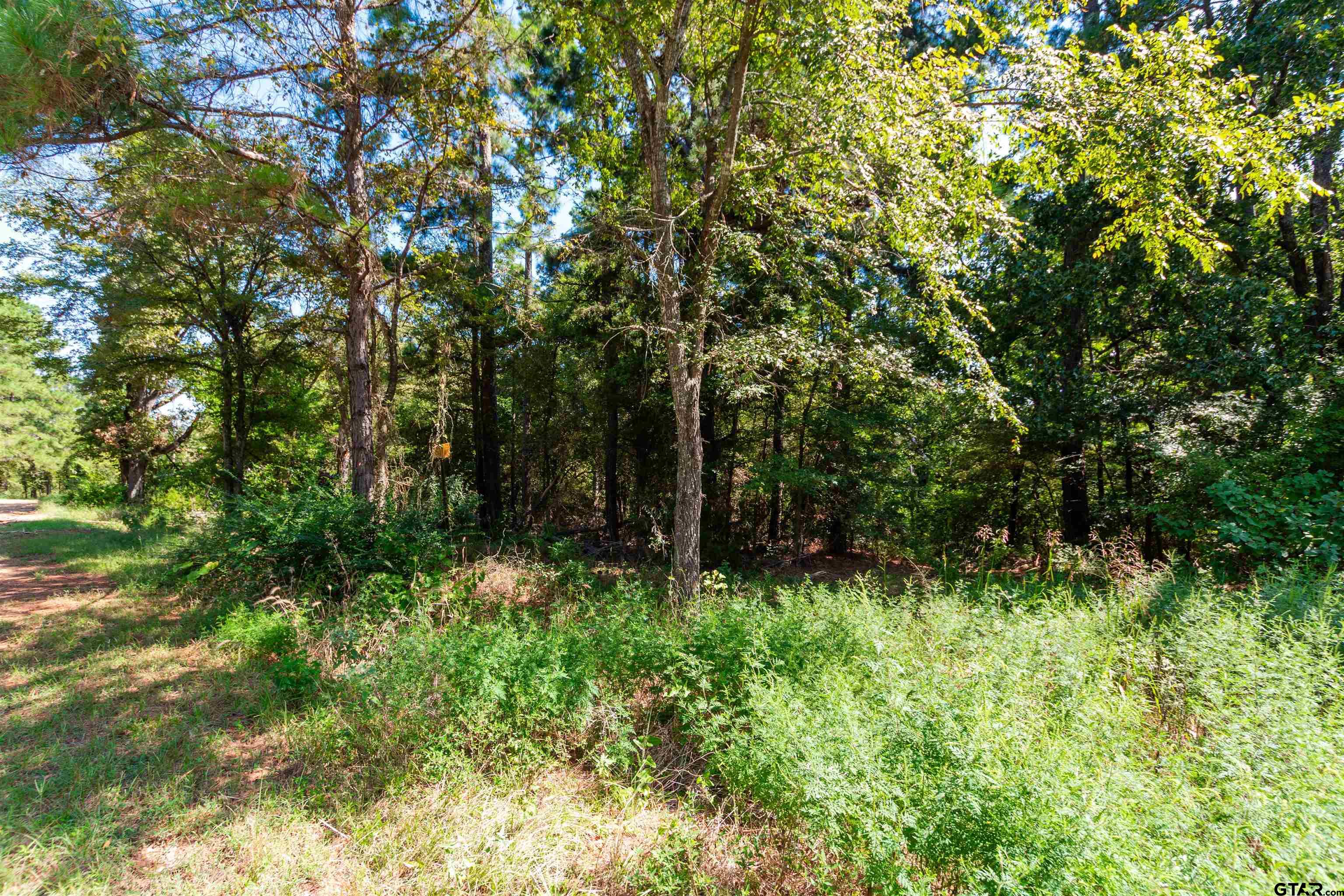 13234 Mountain View Rd S