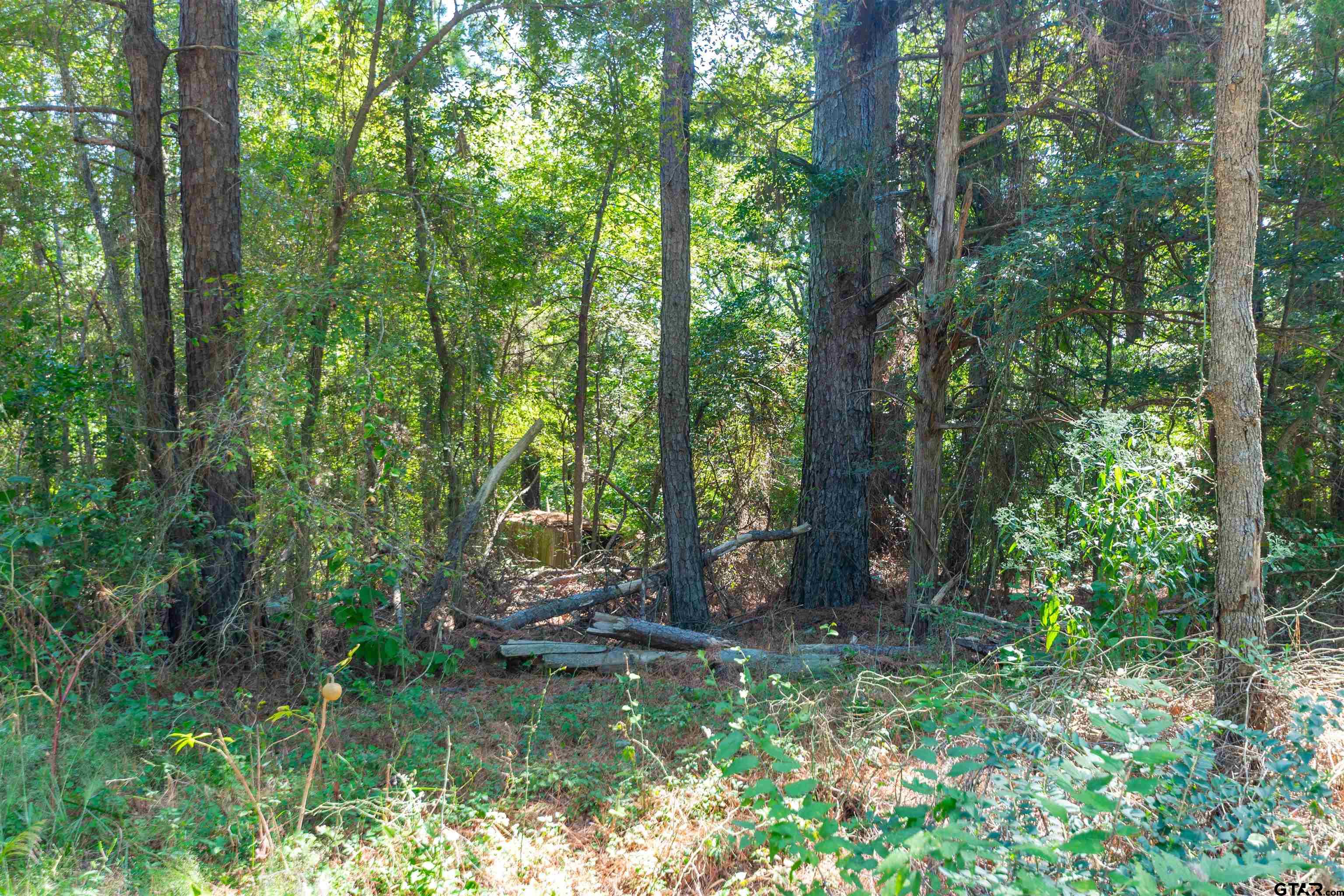 13234 Mountain View Rd S