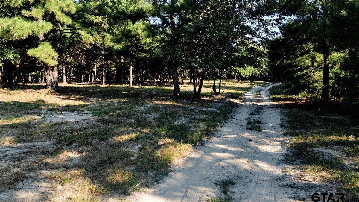 20491 E Hwy 31