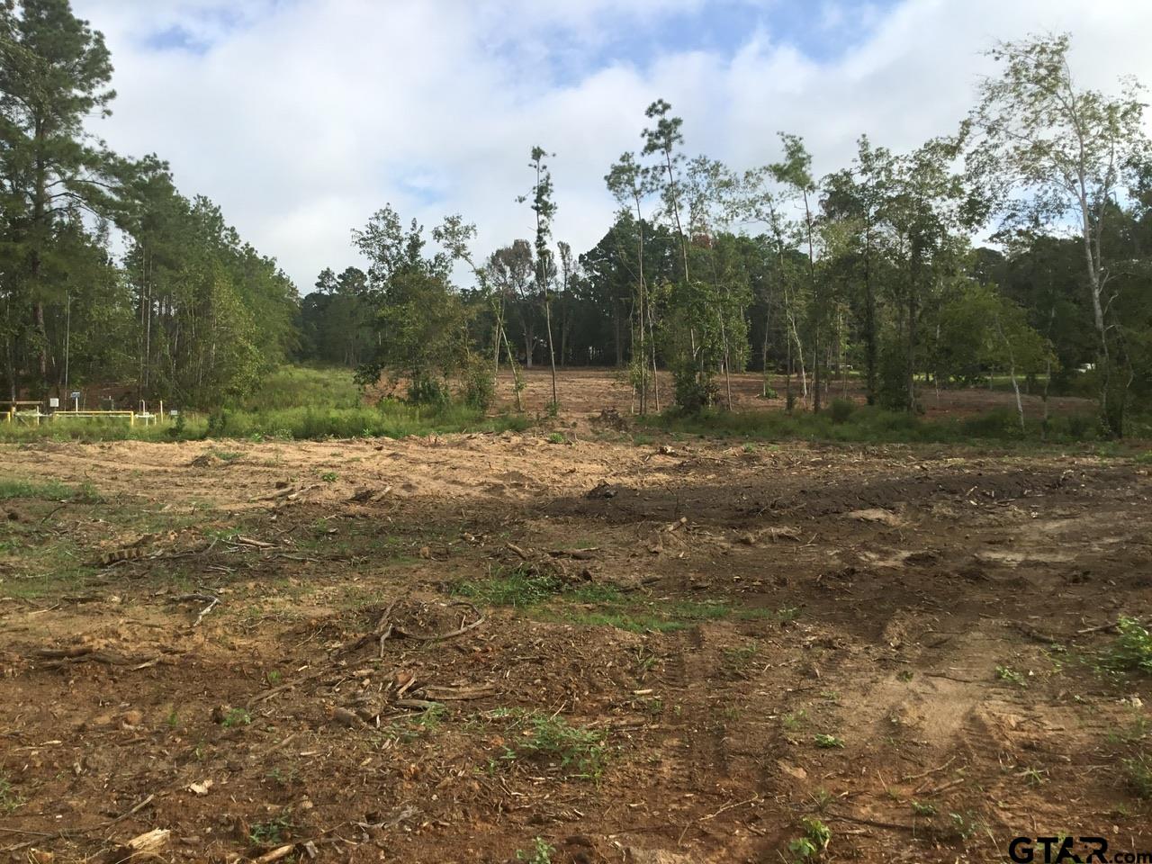 TBD County Road 4135