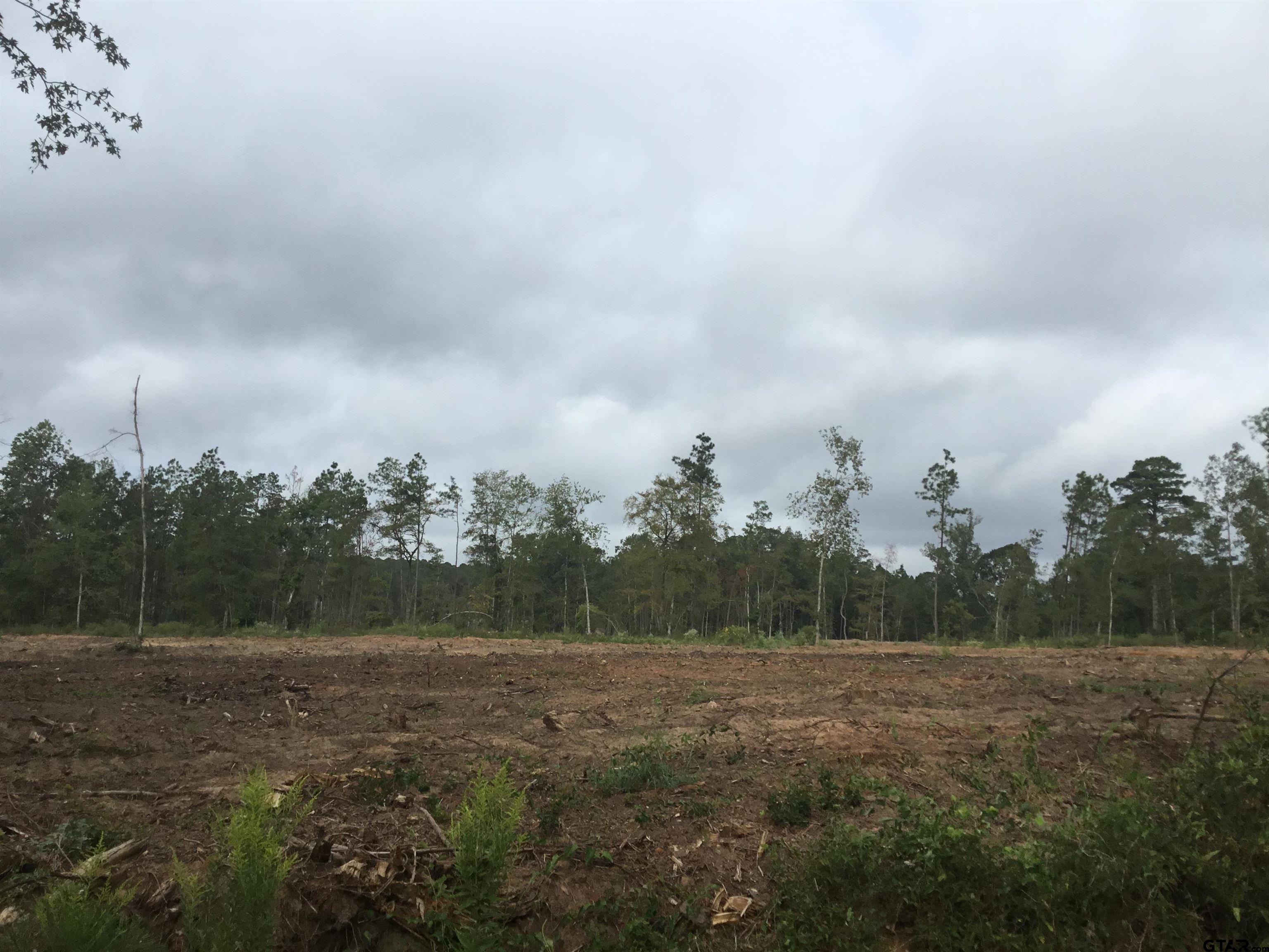 TBD County Road 4135