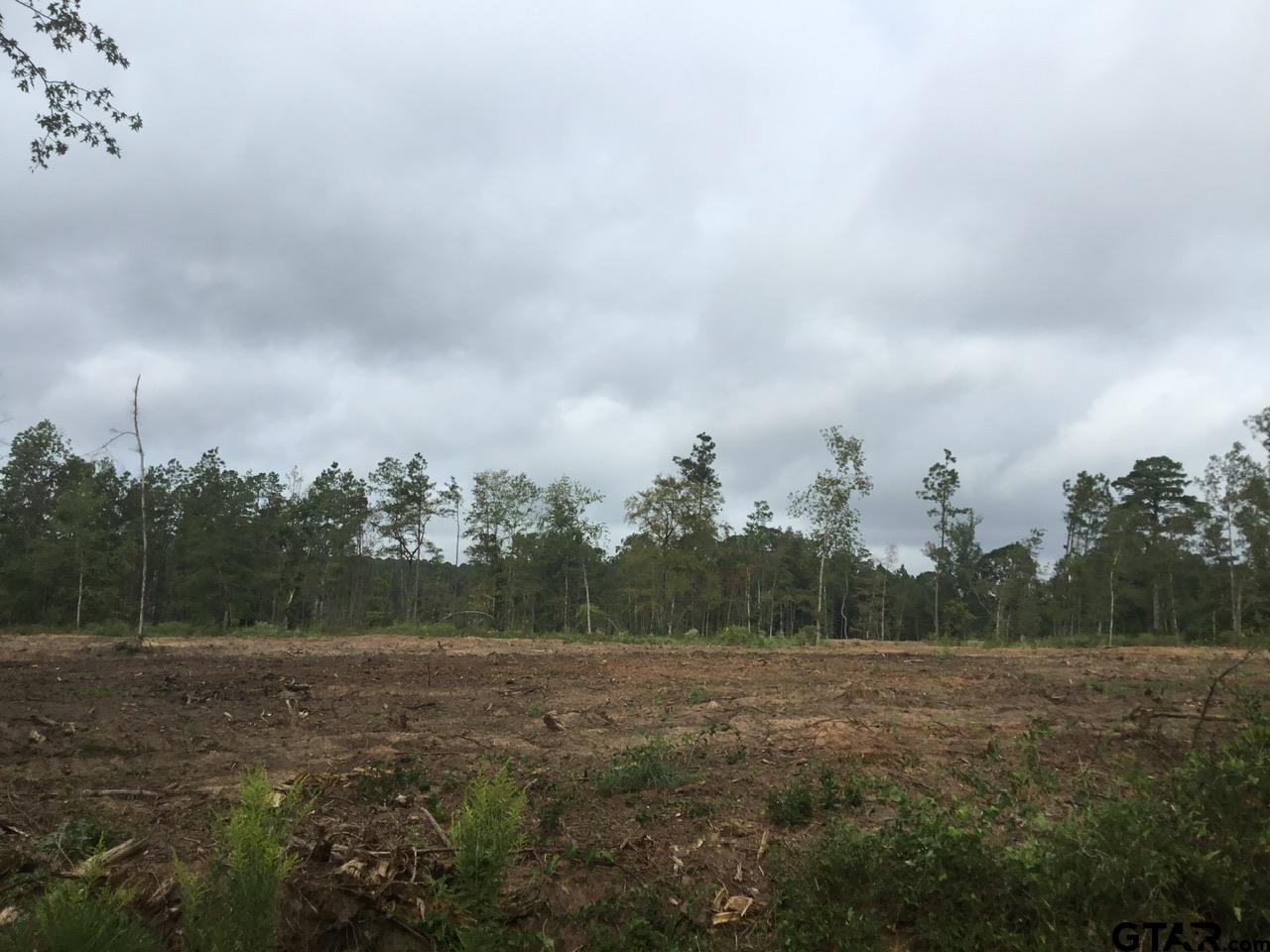 TBD County Road 4135