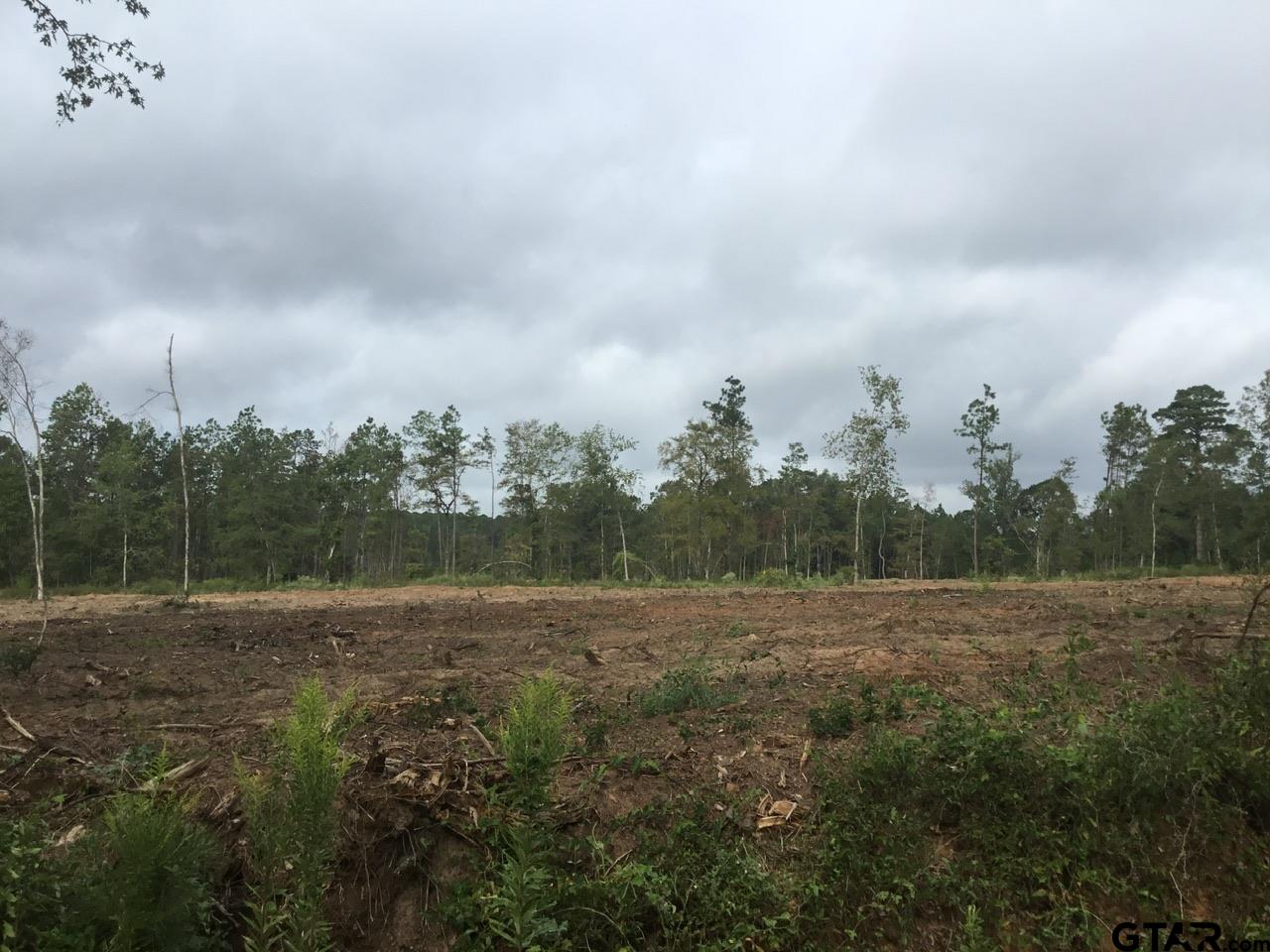 TBD County Road 4135