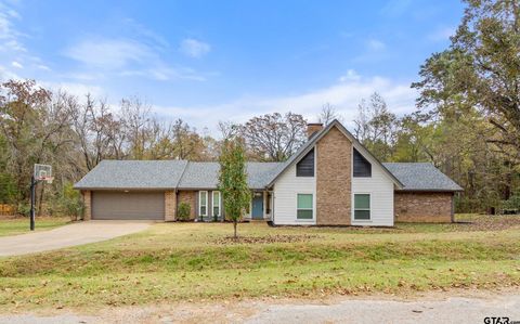 18184 County Rd 1275 Tyler TX 75703