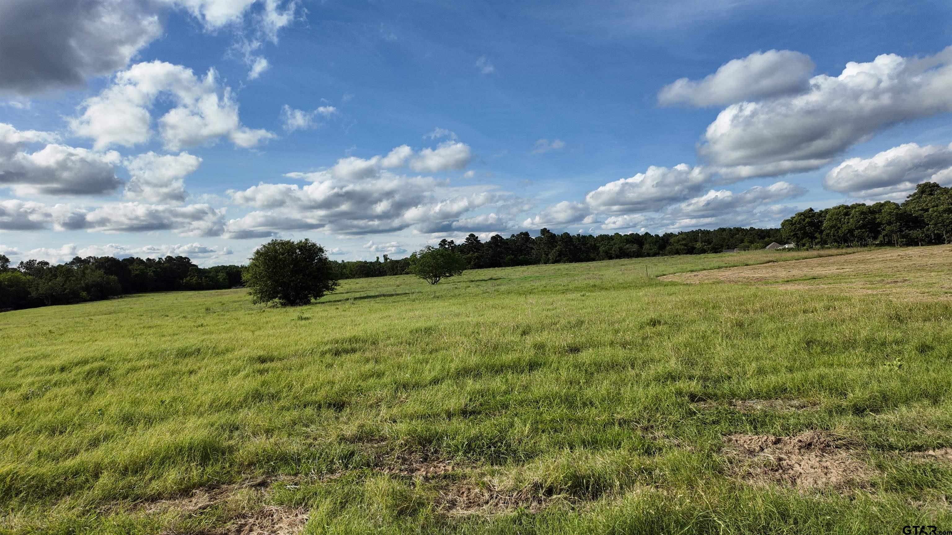 15703 County Road 436