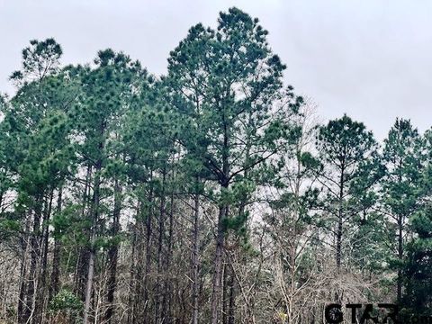 TBD Highway 79 Tract 1 New Summerfield TX 75780