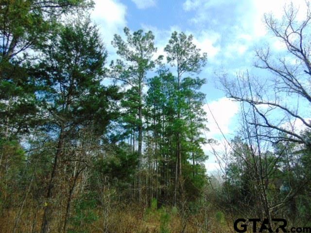 TBD Highway 79 Tract 1