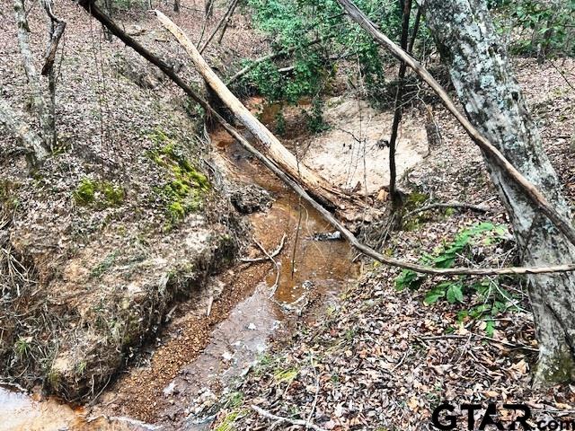 TBD Highway 79 Tract 1