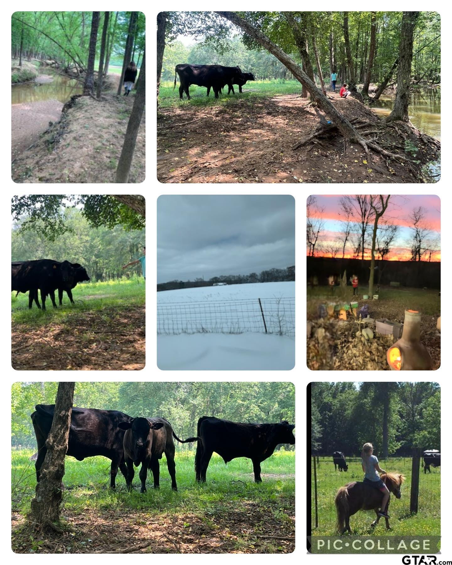 10774 County Road 494