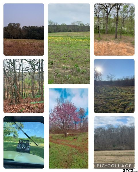 10774 County Road 494 Tyler TX 75706