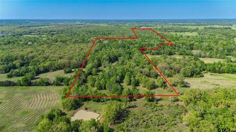 156 Acres N FM 900 Sulphur Bluff TX 75481