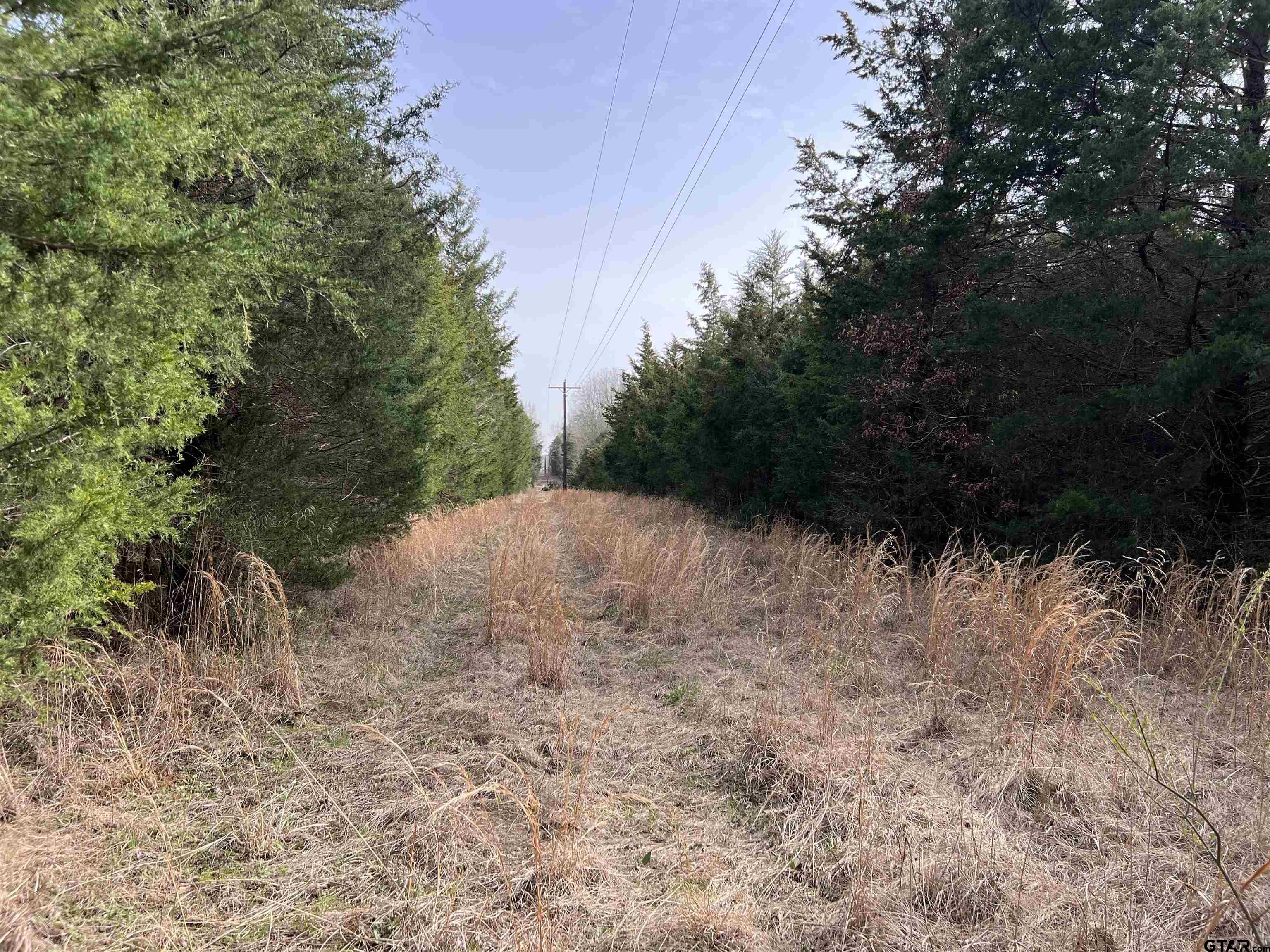 Tract 2 Lone Star Road