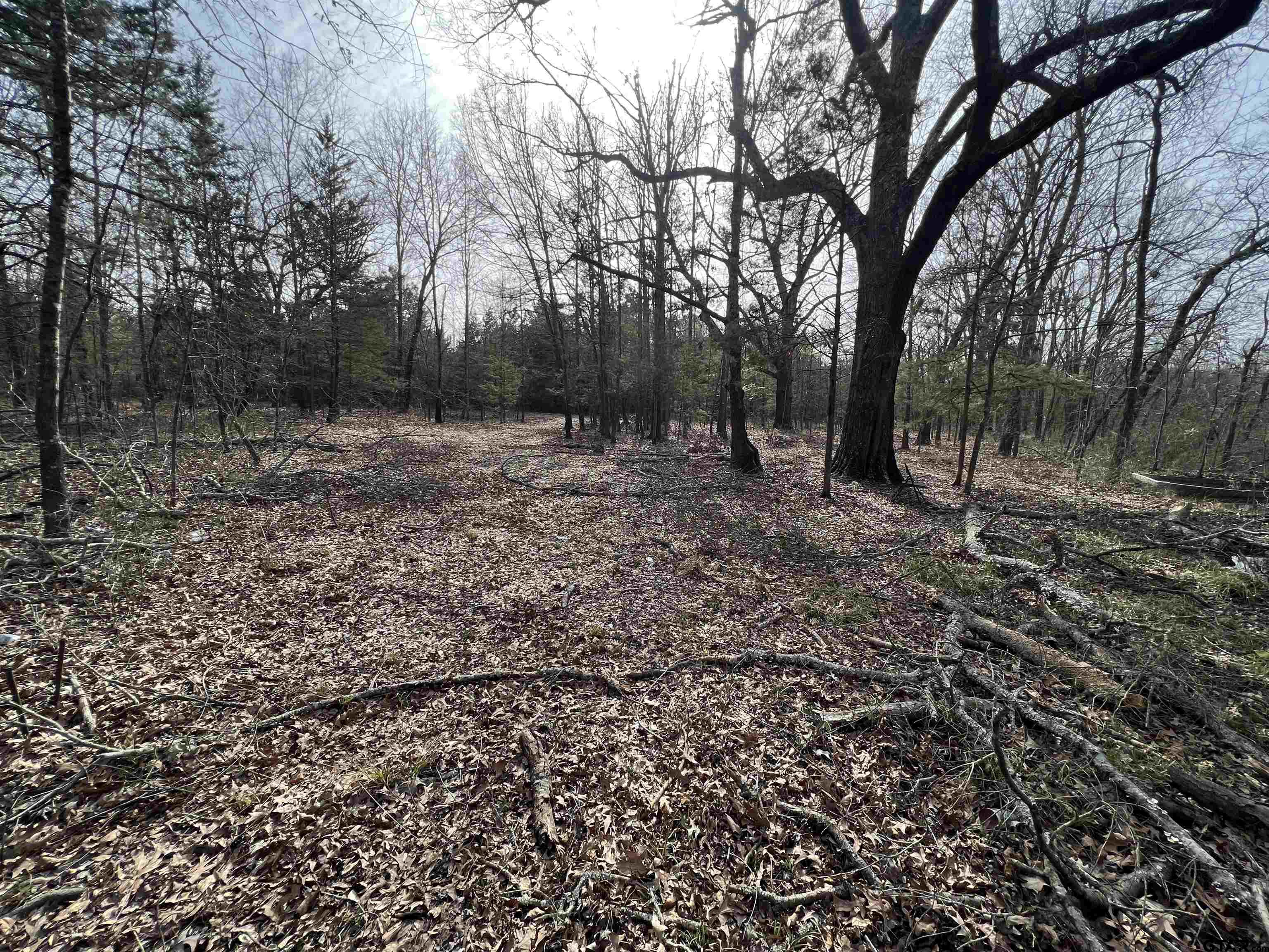Tract 2 Lone Star Road