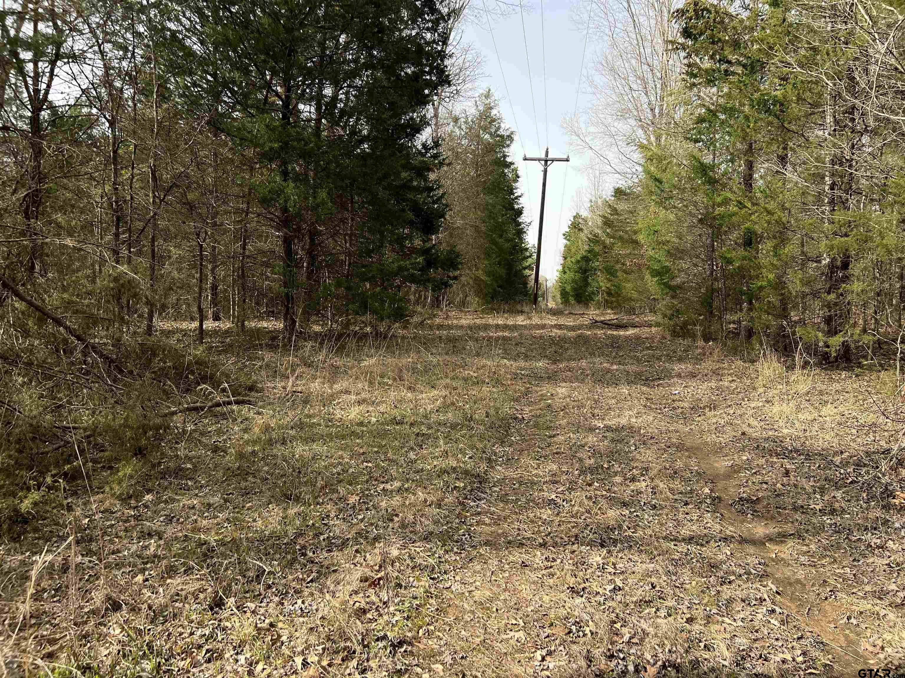 Tract 2 Lone Star Road