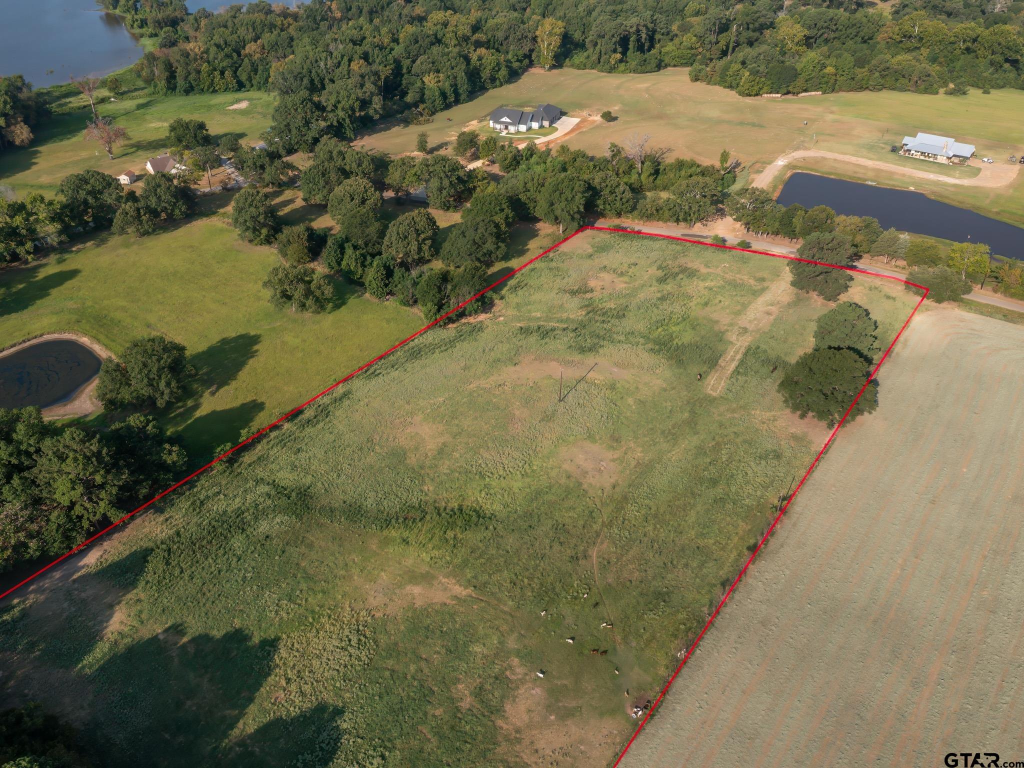 11.31 Acres CR 3202