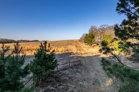 000 CR 4710 LaRue TX 75770