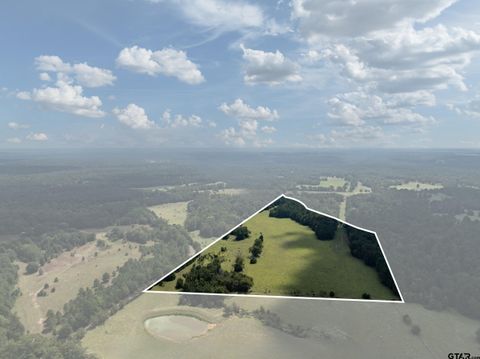 Tract 2 AN COUNTY ROAD 153 Palestine TX 75801