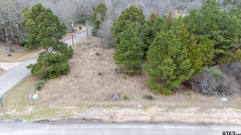 LOT 65 Durango Path Holly Lake Ranch TX 75765
