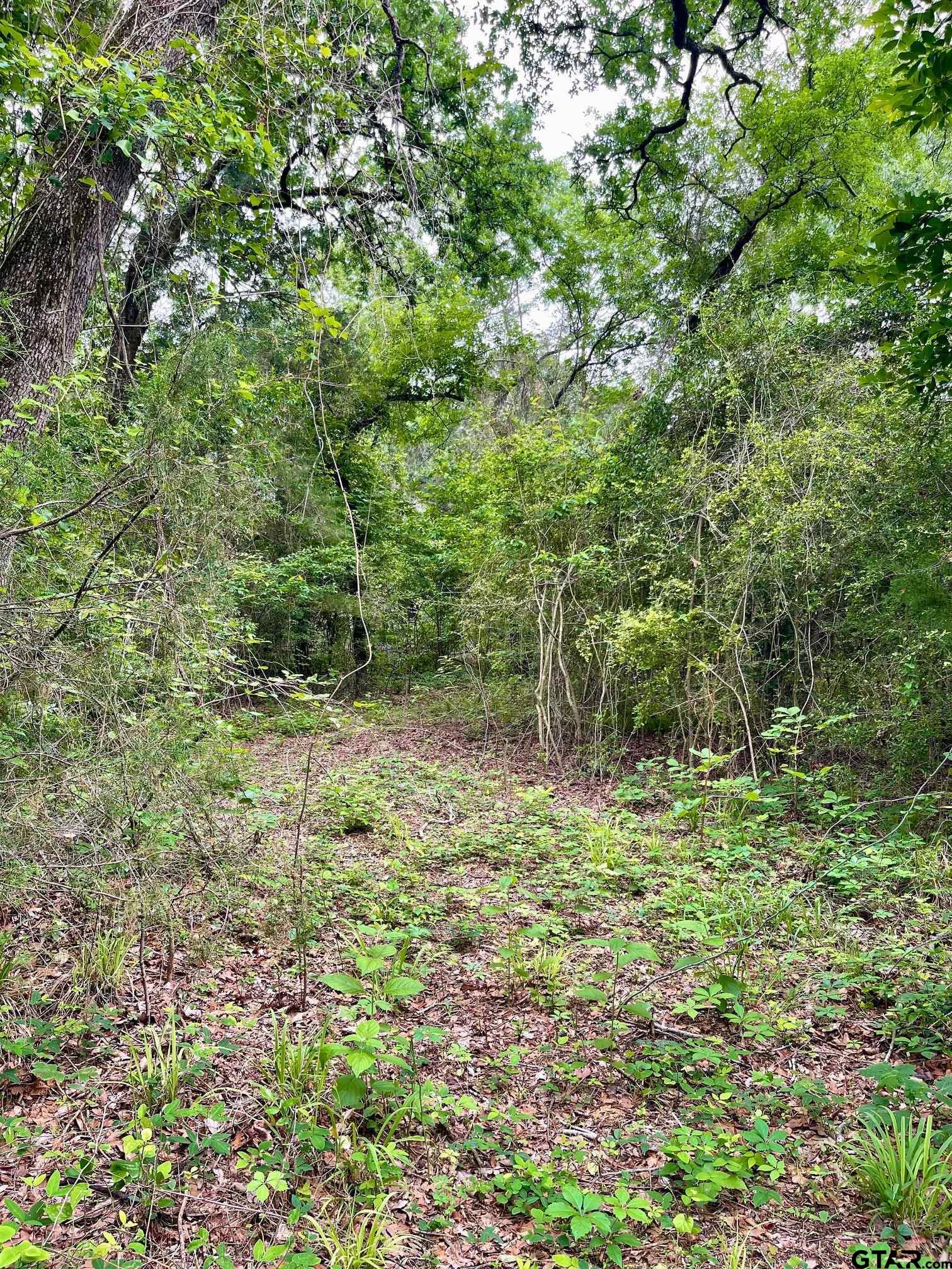 TBD County Road 1147