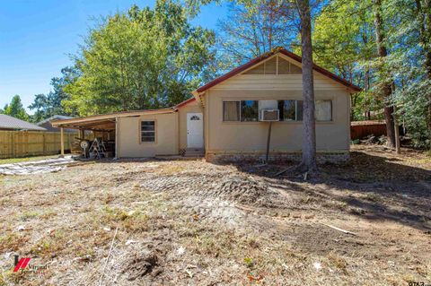 208 CR 2780 Shelbyville TX 75973