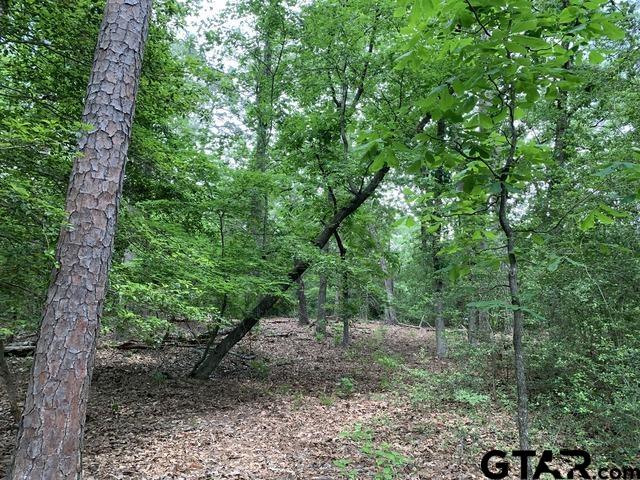 300301 Misty Glen Lane
