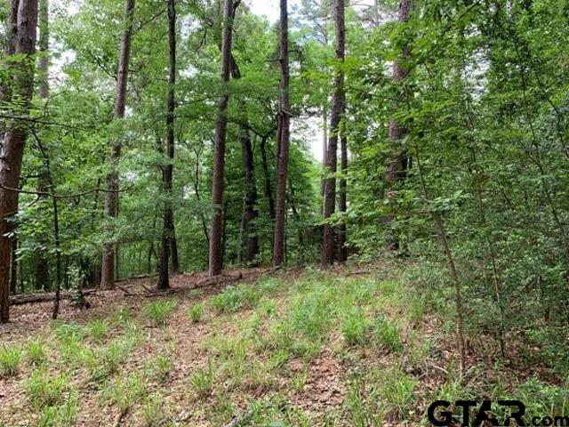 300301 Misty Glen Lane