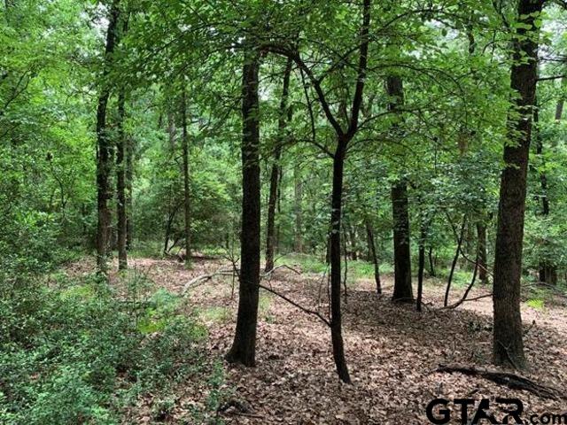 300301 Misty Glen Lane