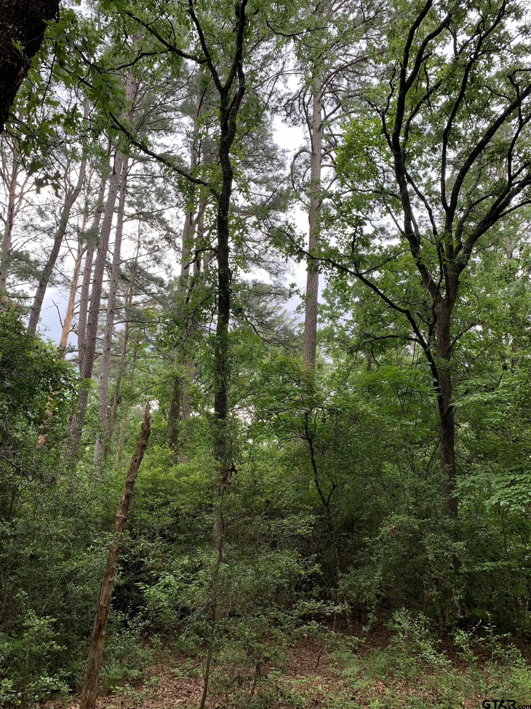 300 & 301 Misty Glen Lane