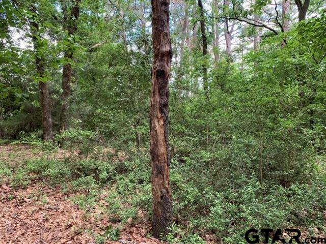 300 & 301 Misty Glen Lane