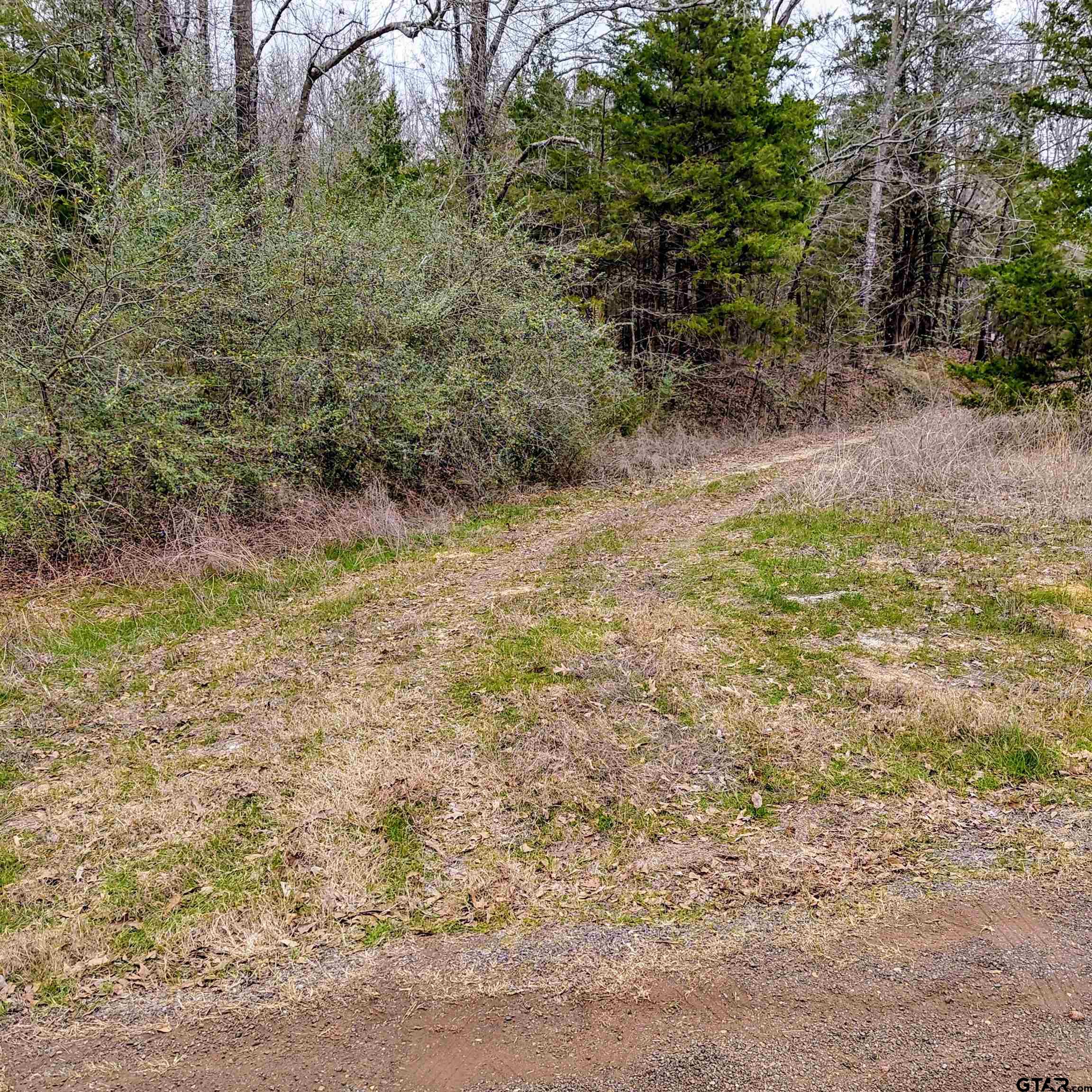 Photo 1 of 10 — TBD C R 4315, Dekalb, TX 75559