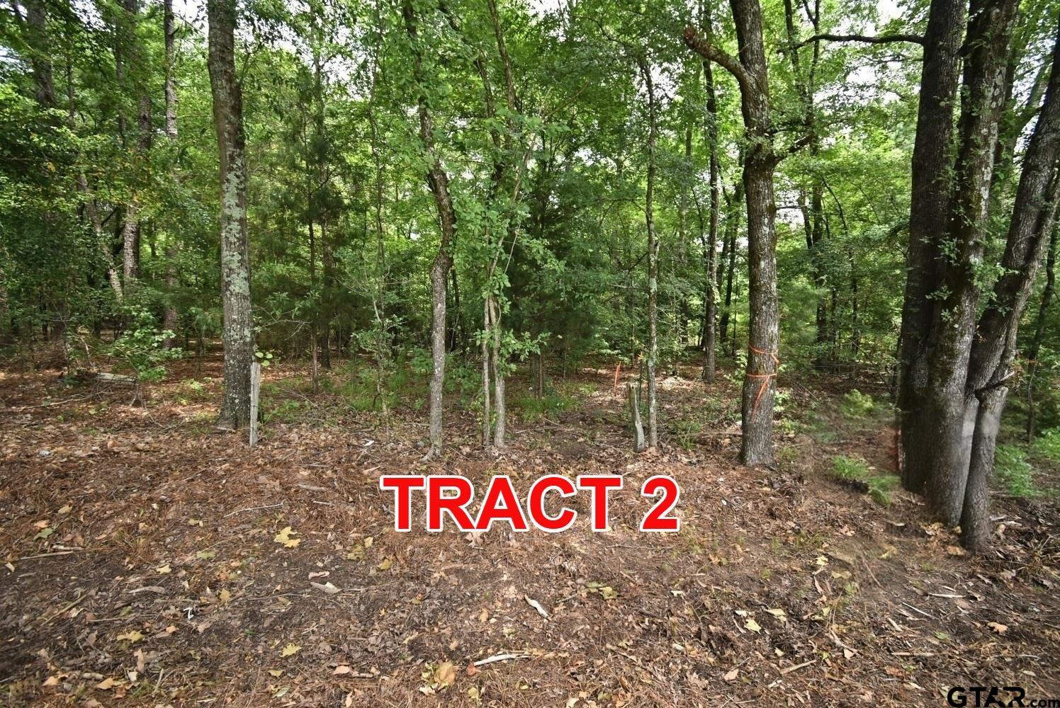 Tract 2 County Road 3117