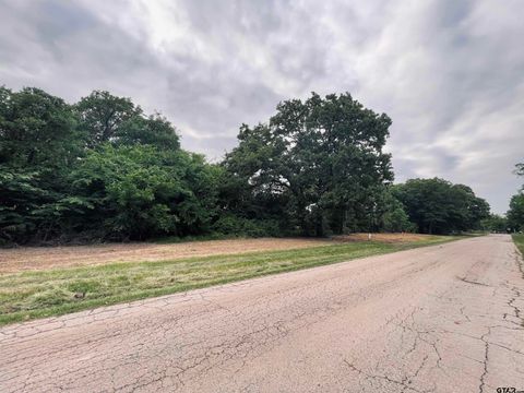 LOT 6 , Leach Woods East  CR 1560 Alba TX 75410