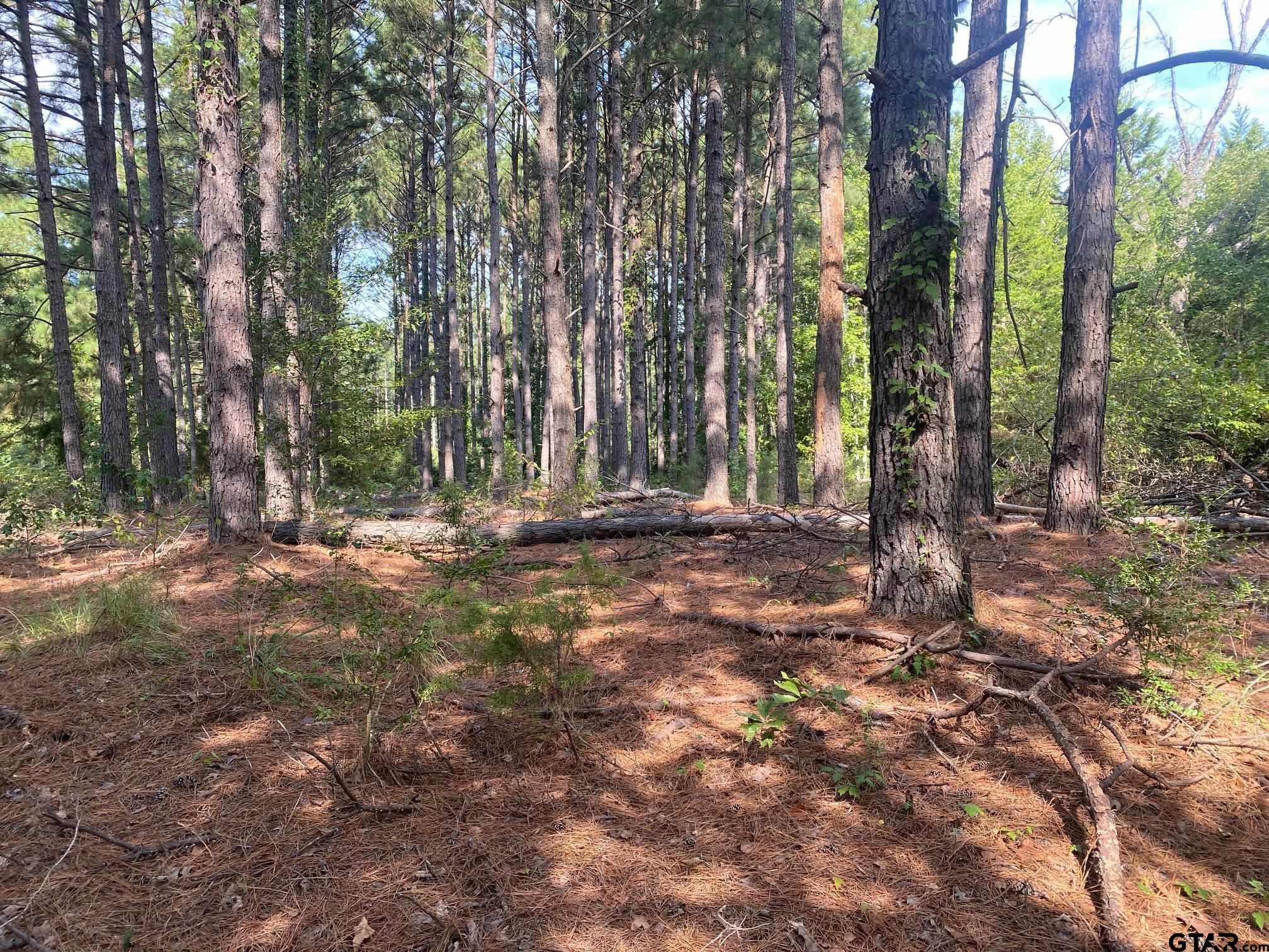 14466 County Road 393