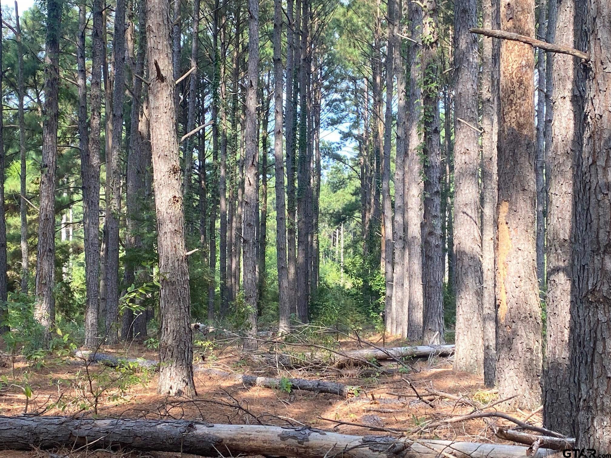 14466 County Road 393