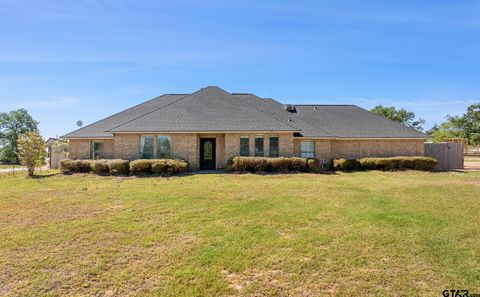 17137 C R 43 Tyler TX 75704