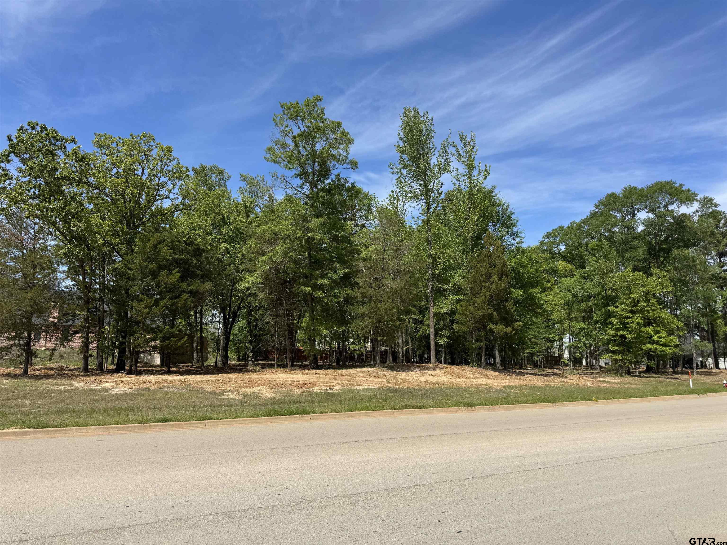 8205 & 8061 Hollytree Dr