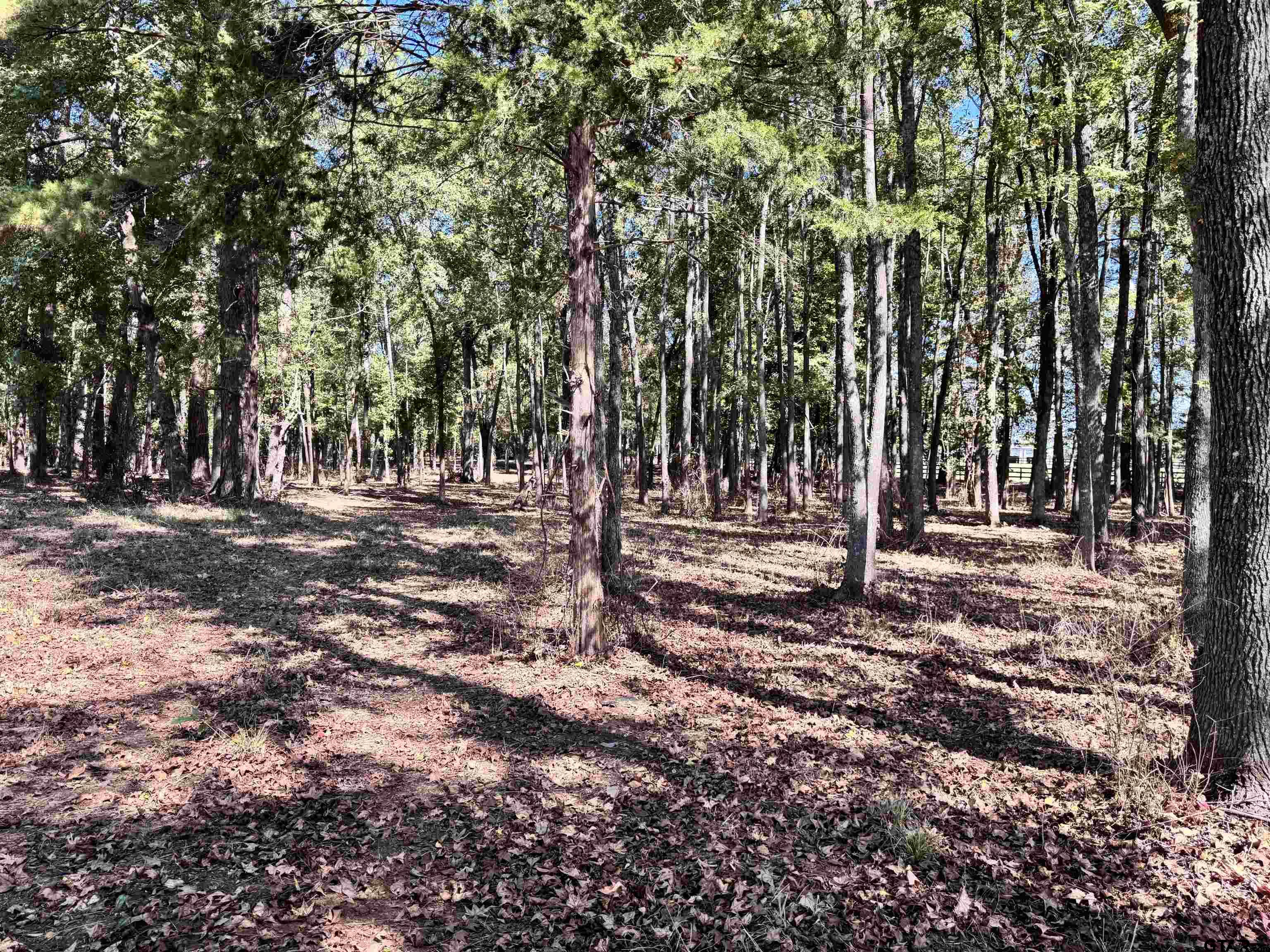 TBD VZ COUNTY ROAD 4823