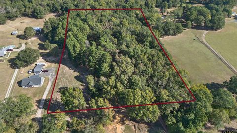 TBD VZ COUNTY ROAD 4823 Chandler TX 75758