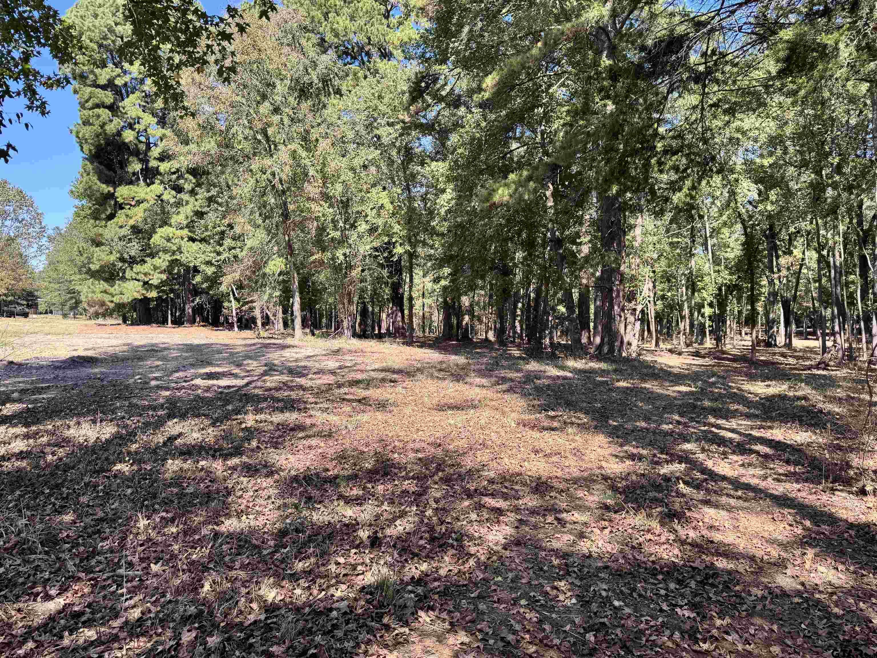 TBD VZ COUNTY ROAD 4823