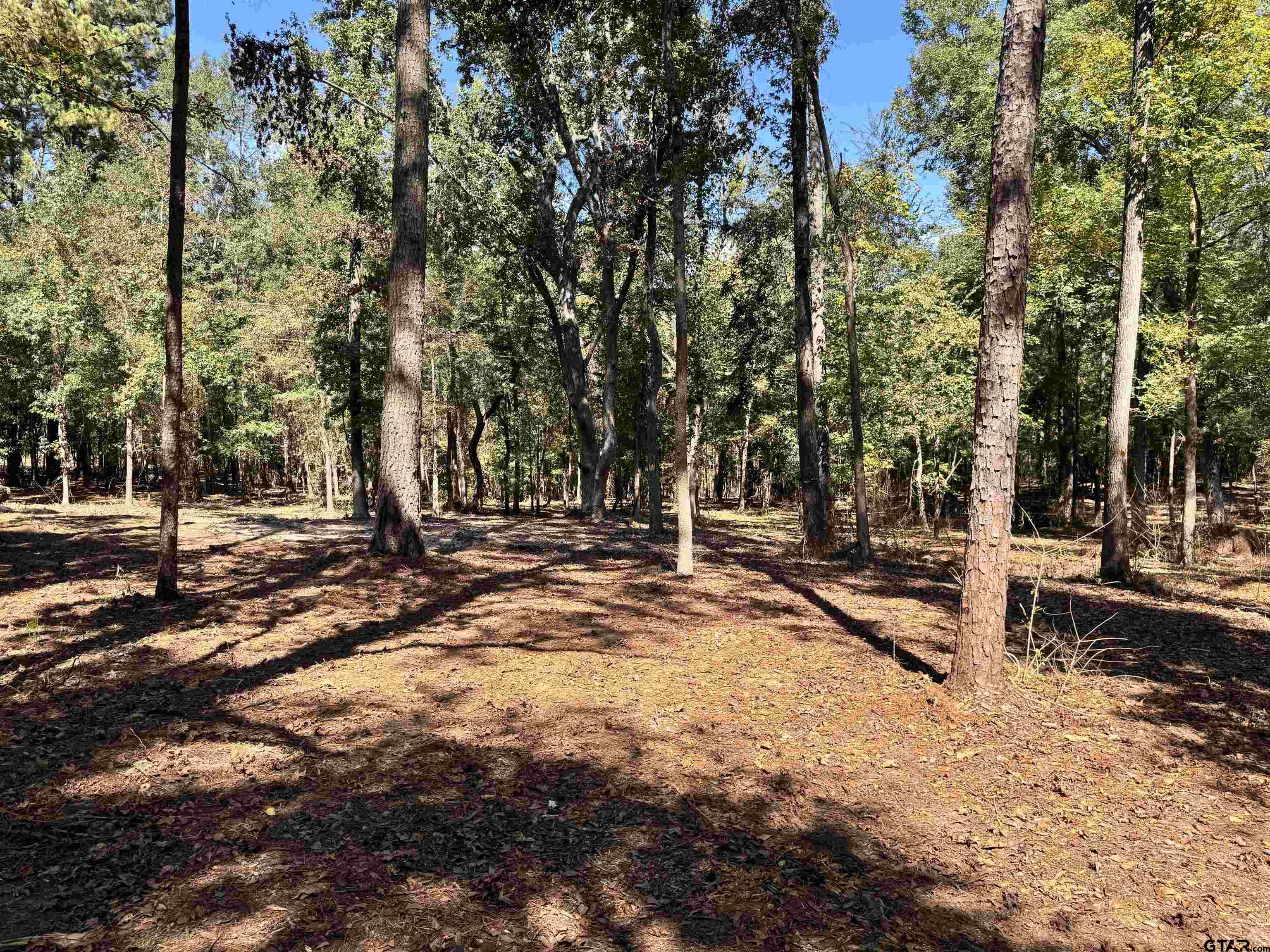 TBD VZ COUNTY ROAD 4823