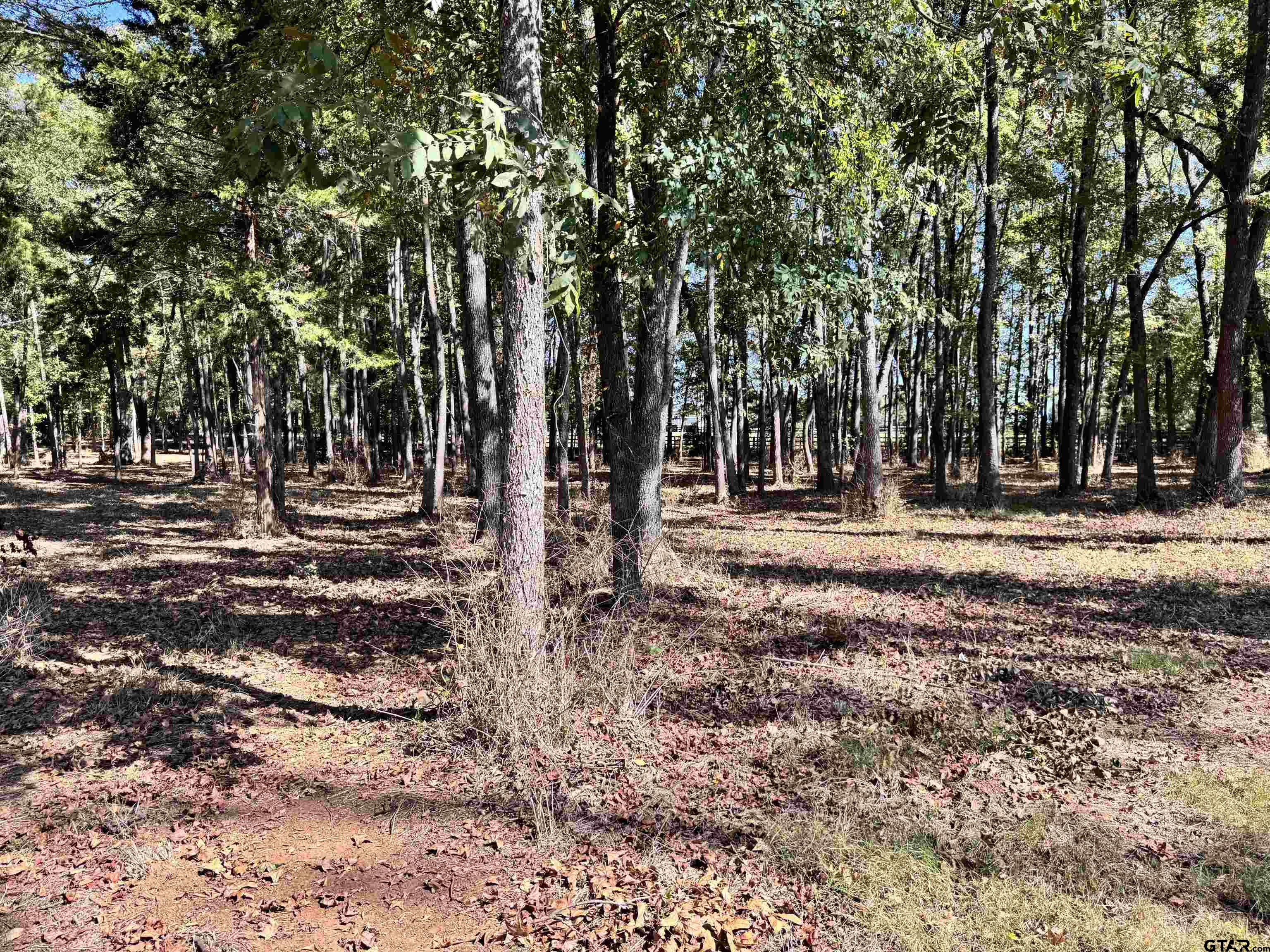 TBD VZ COUNTY ROAD 4823