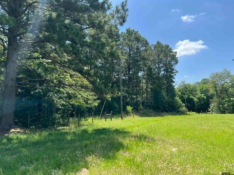 20463 CR 240 Tyler TX 75705