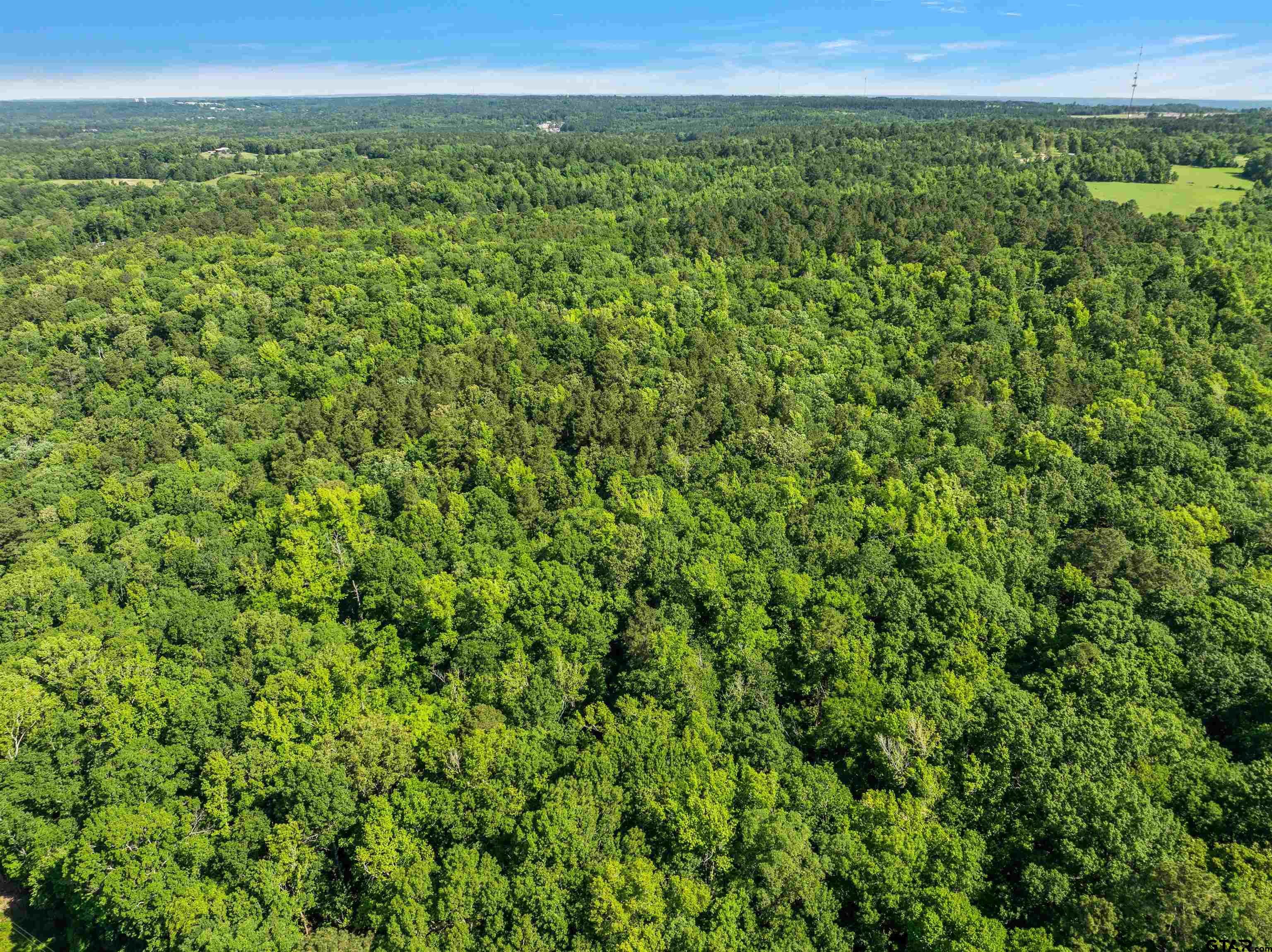 35.9 ac Hwy 69 N
