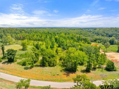TBD County Road 2123 Whitehouse TX 75791