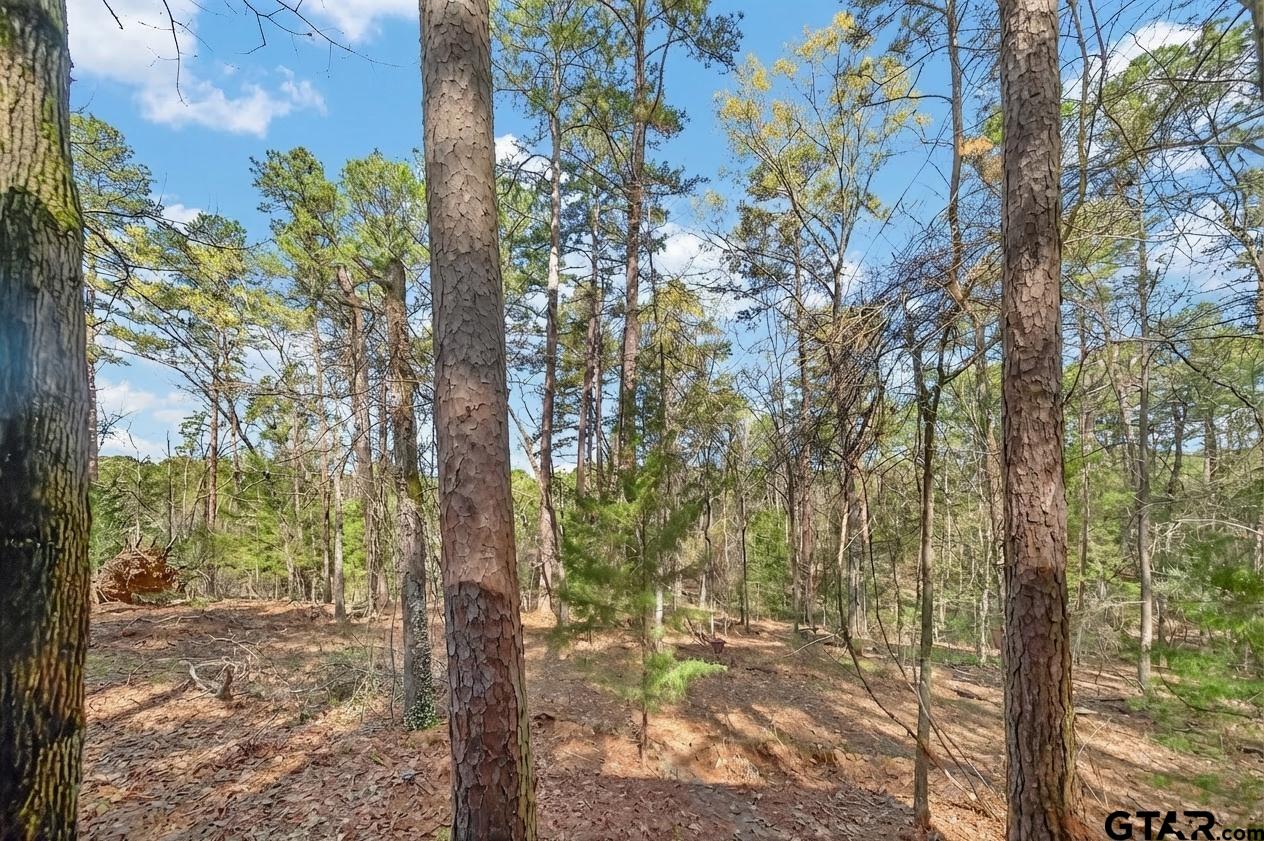 0 AN Country Road 3193