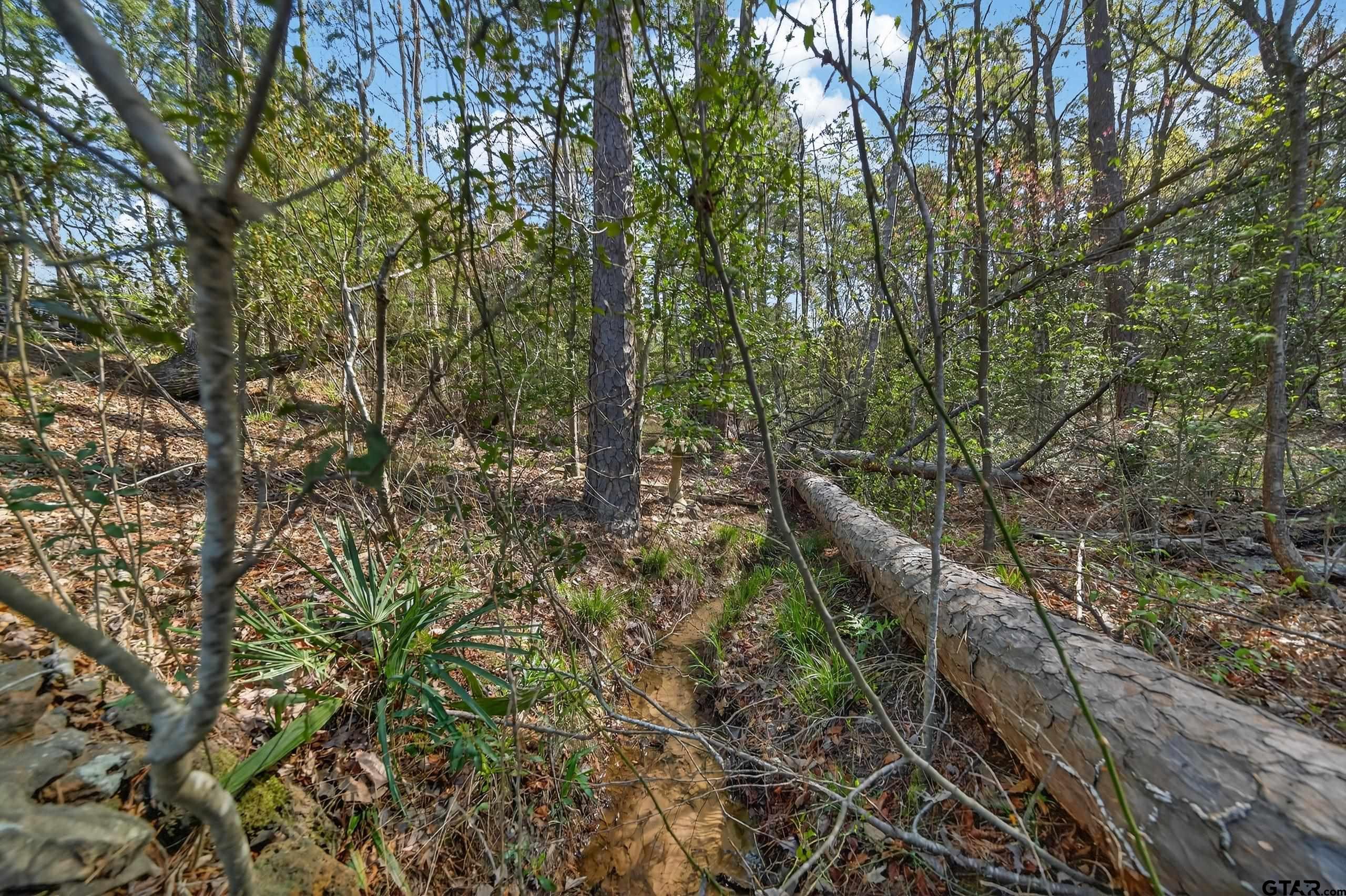 0 AN Country Road 3193