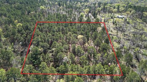 0 AN Country Road 3193 Frankston TX 75763