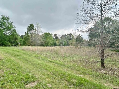 14700 CR 3608 Brownsboro TX 75756