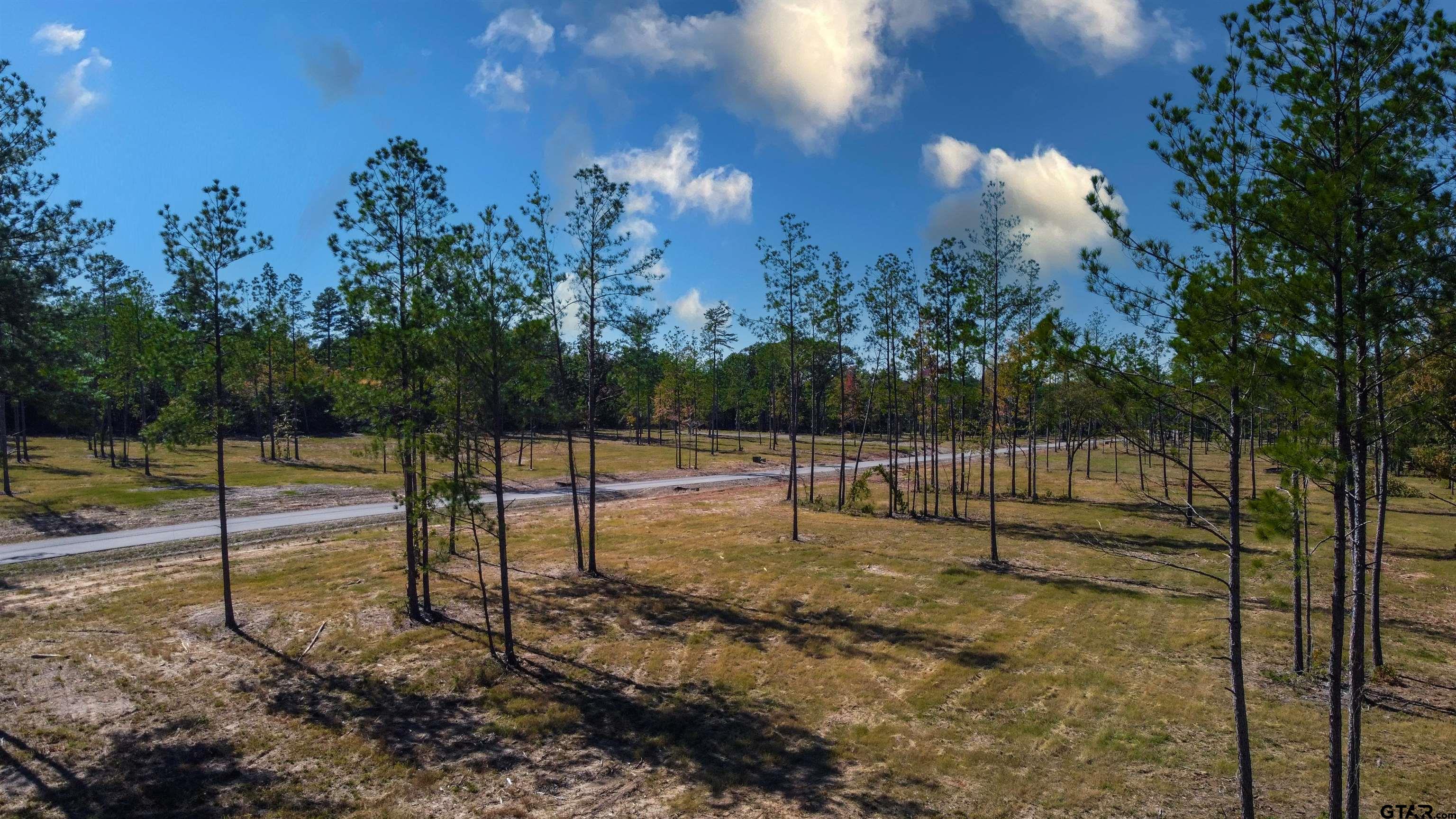 15703 Aniston Ln - (LOT 5)